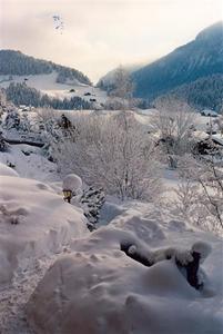 Swiss Winter Wonderland