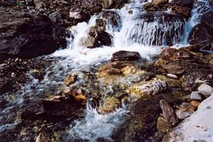 Close up, stream and rocks
