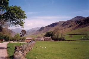 Stone wall and path leading to farm hse, green field and mountains blue sky and chikens 'speck'
