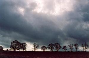 Tree 'line' horizon with dark grey clouds BP