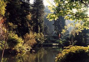 Pond in Badenweiler