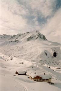 Snow on Alpenrösli and mountain