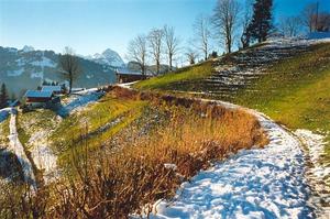 Path on hill, melting snow, Oberdort
