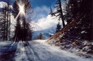 rising mist on snow covered path, refracted sunlight