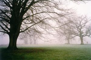 Autumn mist in England