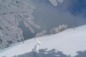 Belchen in winter