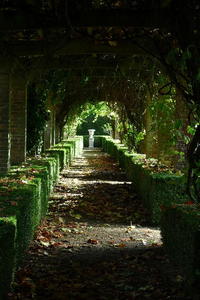 In the Rose Garden at Brockwood Park, England