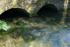 Watercress river
