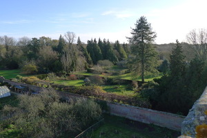 The Rose Garden, from the Tower