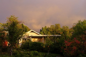 Pine Cottage