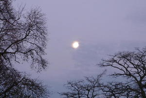 Another Brockwood Moon - November