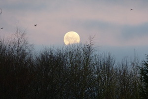 Moon over Brockwood