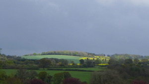 View in Bramdean