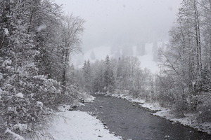 The Saane River in winter