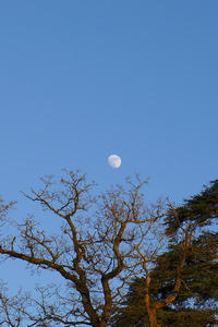 Moon over Brockwood