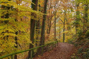 Autumn in Uberlingen