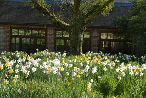 The Centre in spring