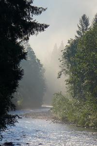 The Saanen River in mist