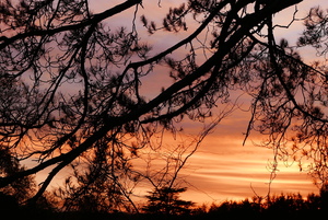 Sunset at Brockwood