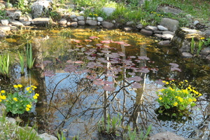 The upper pond