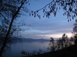 Lake at dusk framed by naked trees